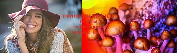 бошки Володарск