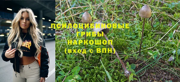 бошки Володарск